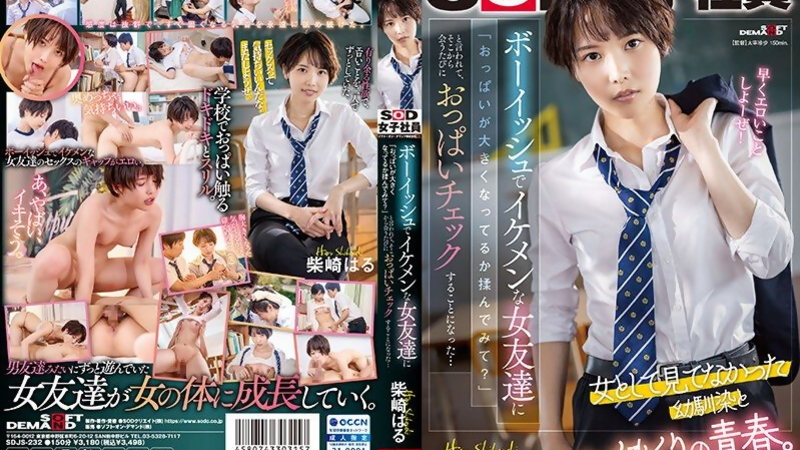 [SDJS-232] Slender Shibasaki Haru's Schoolgirl Breast Tease