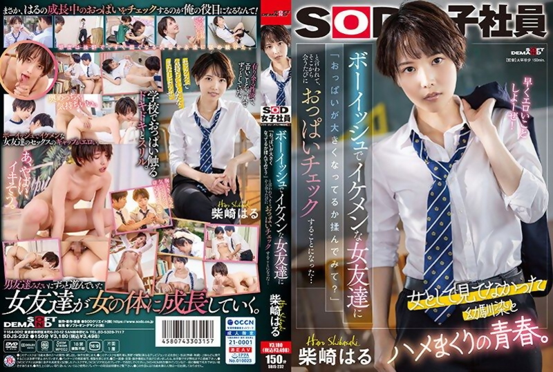 [SDJS-232] Slender Shibasaki Haru's Schoolgirl Breast Tease